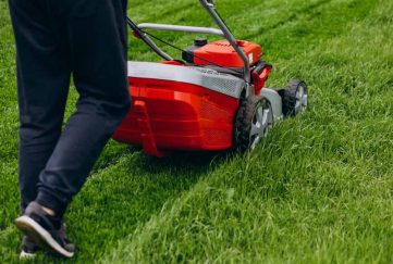 man cutting garden